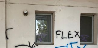 Viadana, imbrattamento MuVi, identificati e multati i responsabili: sono 5 minorenni