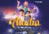 Aladin – Il Musical domenica 1° dicembre al Teatro Sociale per Mantova Live Theatre