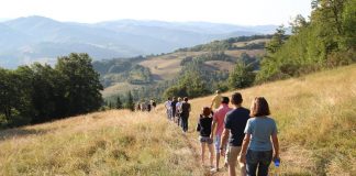 Escursioni in montagna in sicurezza, semplici regole e una app per soccorsi