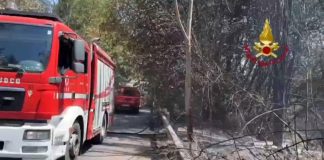 Roma, vasto incendio di sterpaglie a Castelnuovo di Porto: evacuate abitazioni