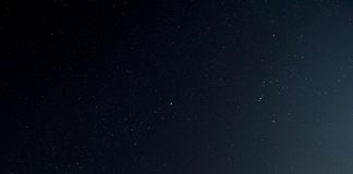 Asteroide di Chicxulub che uccise i dinosauri, ecco da dove arrivava