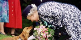 Dai Corgi di Elisabetta al Teckel di Margrethe, cani passione reale