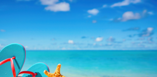 Vacanze, Altroconsumo: “Ecco come prenotare hotel e case evitando brutte sorprese”