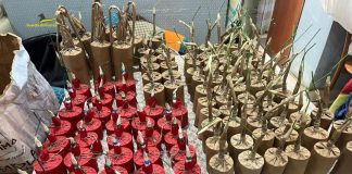 Foggia, sequestrati 500 kg di esplosivi, droga e denaro