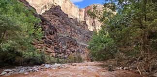 Paura al Grand Canyon per inondazioni improvvise, oltre 100 persone evacuate – Video