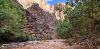 Paura al Grand Canyon per inondazioni improvvise, oltre 100 persone evacuate