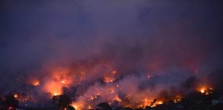 Grecia, maxi incendio a nord di Atene: evacuata città di Maratona