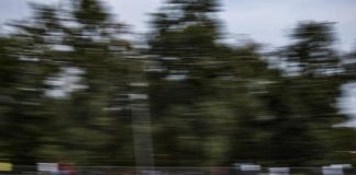 Gp Italia, Norris pole e prima fila McLaren: Ferrari insegue
