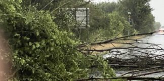 Vigili del fuoco ancora al lavoro per mettere in sicurezza piante pericolanti