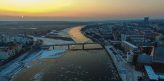 Ecatombe di pesci in Polonia, recuperate oltre 14 tonnellate di carcasse