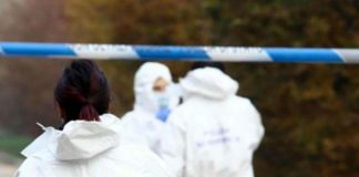 Ragazza trovata morta in strada a Pavia, grave l’amica: ipotesi incidente in monopattino