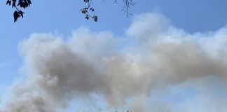 Roma, maxi incendio a Monte Mario: non si esclude dolo, aperta inchiesta