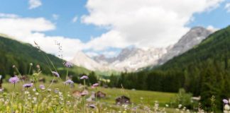 Enogastronomia, la Strada del vino e dei sapori del Trentino forma ambasciatori di eccellenze