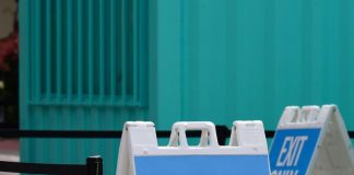 Vaiolo delle scimmie, in Svezia primo caso Ue con nuova variante Clade1