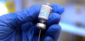 Vaiolo scimmie, Oms: “Mpox emergenza sanitaria internazionale”