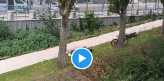 Parigi 2024, villaggio da incubo e si dorme sui prati: “Ma è Ceccon?” – Video