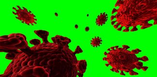 India, è allarme virus Chandipura: “Colpisce il cervello dei bimbi”