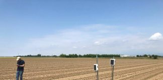 Filiera del tabacco, BAT Italia lancia WePlant