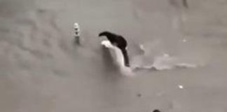 Cannes allagata dopo violento nubifragio, le immagini choc sui social – Video