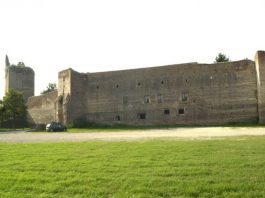 Castel d’Ario: 26enne vuole gettarsi nel canale Molinella, l’assessore la salva