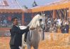 Roma, confermato il Global Champions Arabians Tour al Circo Massimo