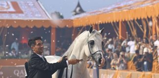 Roma, confermato il Global Champions Arabians Tour al Circo Massimo