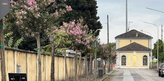 Bozzolo, interventi sul verde in stazione. Si attende ok per elettricità campo-base operai