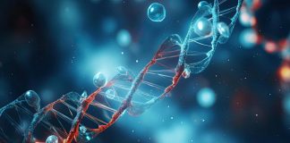 Decifrati con l’Ia marcatori genetici autismo, spiragli per diagnosi