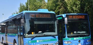Trasporti: patente a carico dell’azienda e premio di 3.000 euro, Fnma cerca autisti