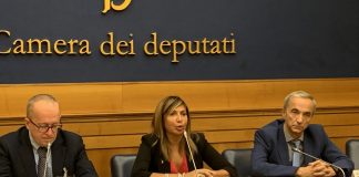Loizzo: “Superare disomogeneità Nord- Sud in trattamento cancro polmone”