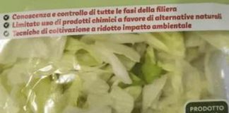 Listeria in insalata iceberg in busta, richiamati lotti di 19 marchi