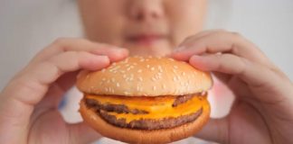 Alimenti: Gb, da ottobre 2025 vietati spot junk food in Tv fino alle 21