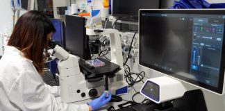 Staminali, trapianto in 25enne ‘azzera’ diabete tipo 1