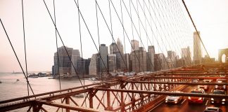 Da New York allerta encefalite equina orientale: primo morto, minaccia per la salute pubblica