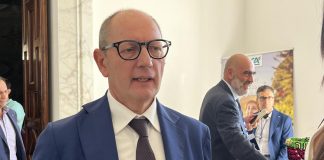 Agroalimentare, Raimondo (Consorzio Bufala Campana Dop): “Filiera mozzarella unicum da tutelare”
