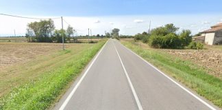 Poggio Rusco, albero cade e colpisce auto in transito: paura per un 57enne