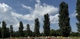 Agricoltura nelle scuole con Coldiretti: sostenibilità, tutela dell’ambiente e legalità i temi