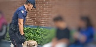 Giardini Nuvolari, il cane antidroga Grom scova l’hashish nelle tasche di 5 giovani