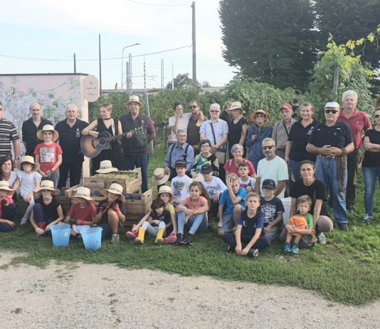 Tra natura, musica e divertimento ecco la vendemmia alla Cantina di Quistello