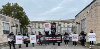 Macello degli orrori, Animal Equity protesta di fronte alla sede dell’Ats