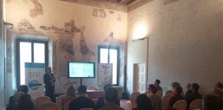 Il porto di Valdaro e la via verso la sostenibilità