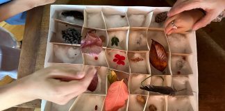 A Palazzo d’Arco bambini e famiglie alla scoperta delle camere delle meraviglie