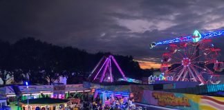 Asola in festa per l’Antica Fiera dei Morti: bancarelle, mercato contadino e musica