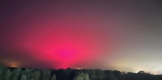 Crede di asistere all’aurora, ma è una fabbrica di pomodori: l”abbaglio’ colpa dei Led