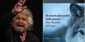 Grillo punge su Whatsapp: “Si muore più traditi dalle pecore che sbranati dal lupo”