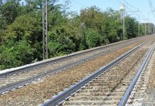 Insegue il gregge scappato sui binari, pastore travolto e ucciso: strage anche di pecore