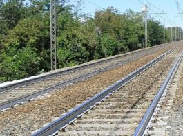 Insegue il gregge scappato sui binari, pastore travolto e ucciso: strage anche di pecore