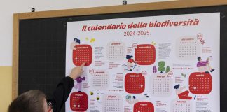 Alla scoperta di biodiversità e rinnovabili, al via il Progetto Scuole E.On