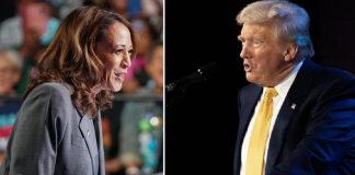 Harris-Trump, testa a testa negli stati chiave: i sondaggi