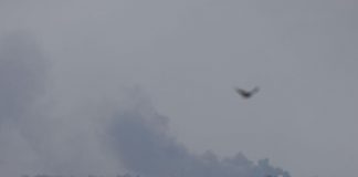 Israele bombarda Gaza: “Sventato attacco con razzi di Hamas per anniversario”